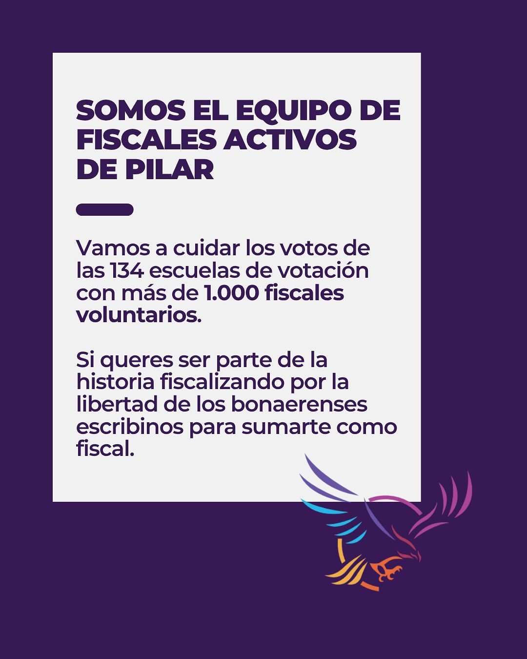 Fiscales Activos de Pilar — equipo de fiscalización voluntaria